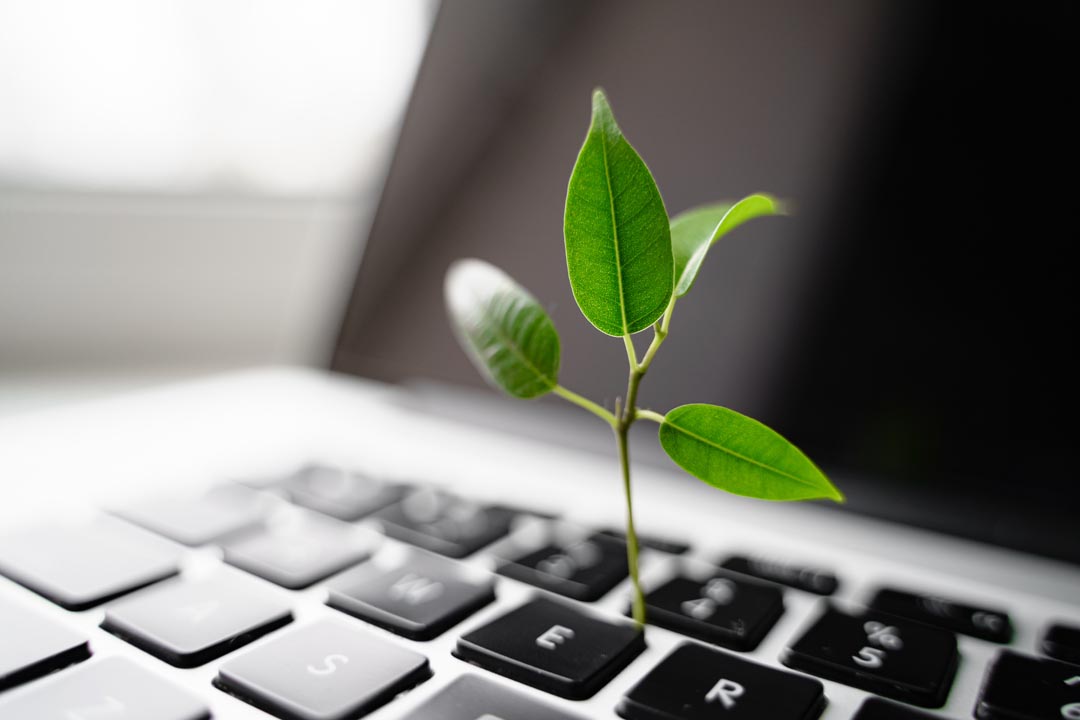 Laptop keyboard with plant growing on it.