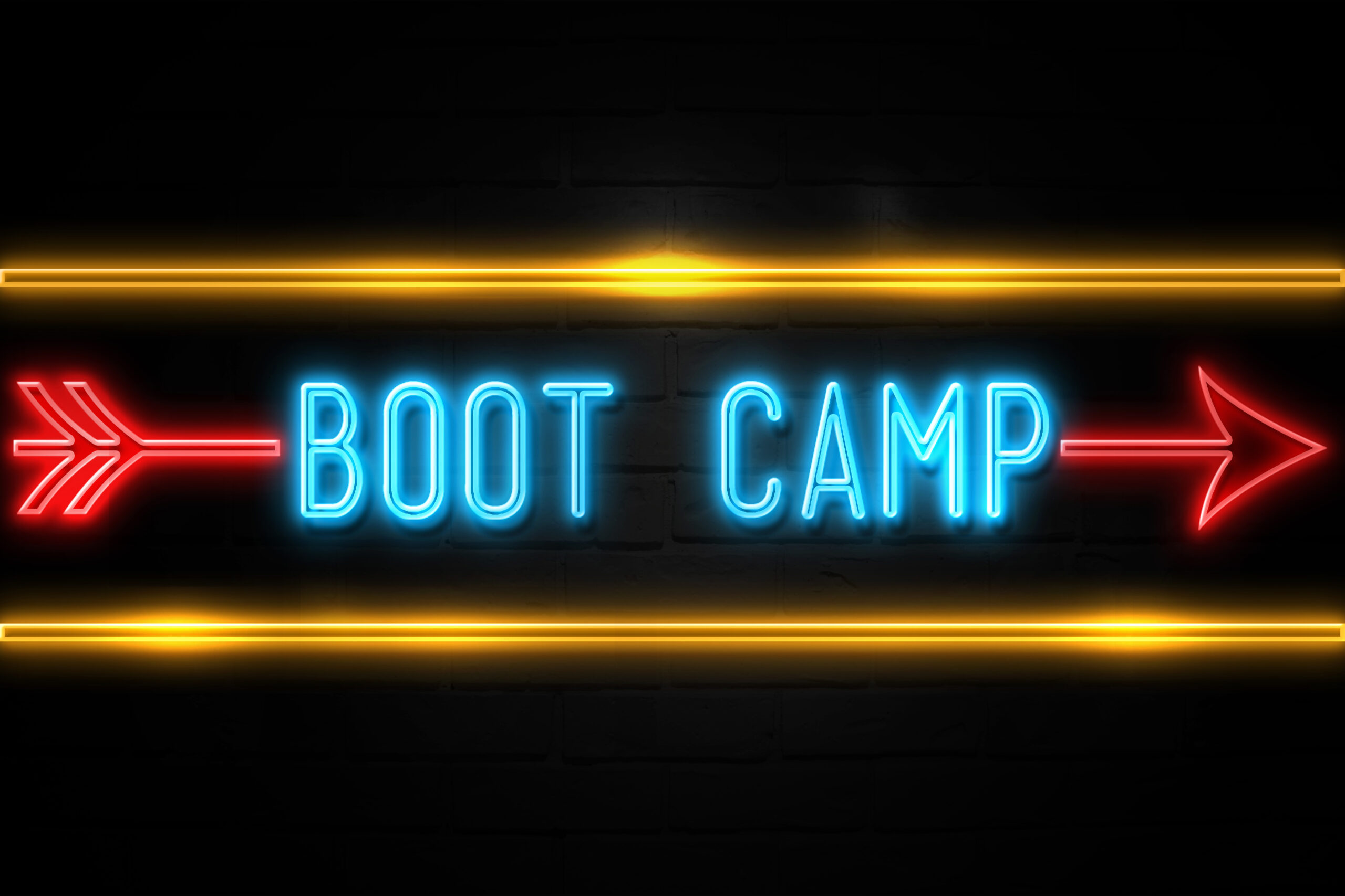 Are digital bootcamps the answer to lifelong learning?