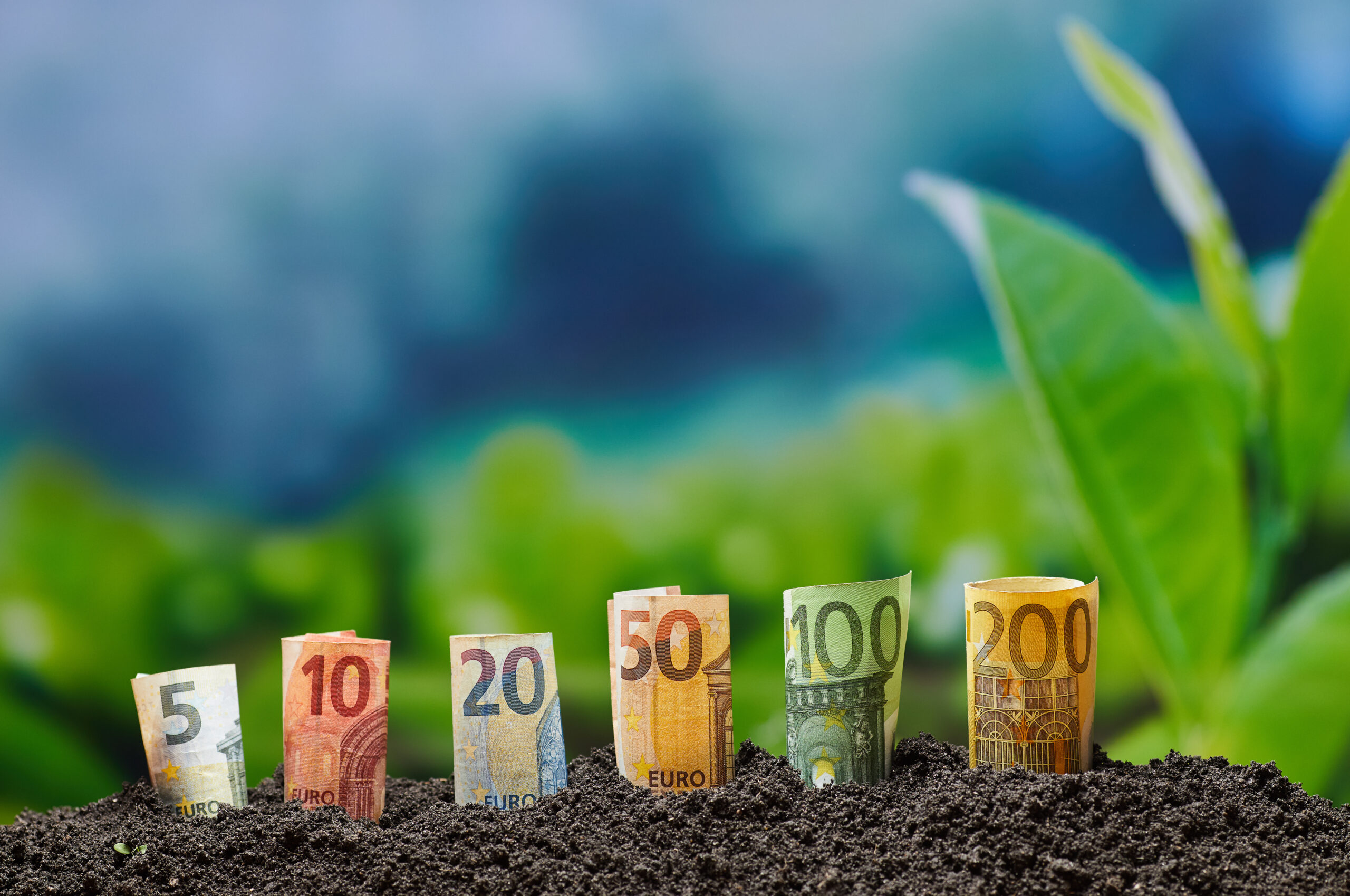Behind the scenes of planning a new learning event: Show me the money