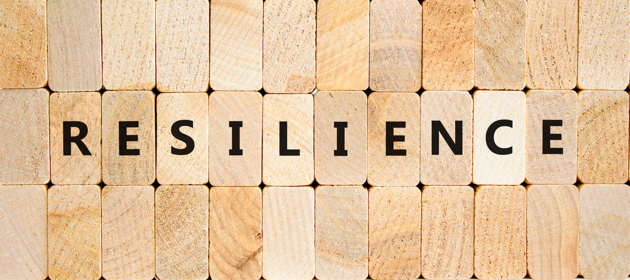 Resilience symbol. Concept word Resilience on beautiful wooden blocks. Beautiful wooden blocks background. Business resilience concept. Copy space.