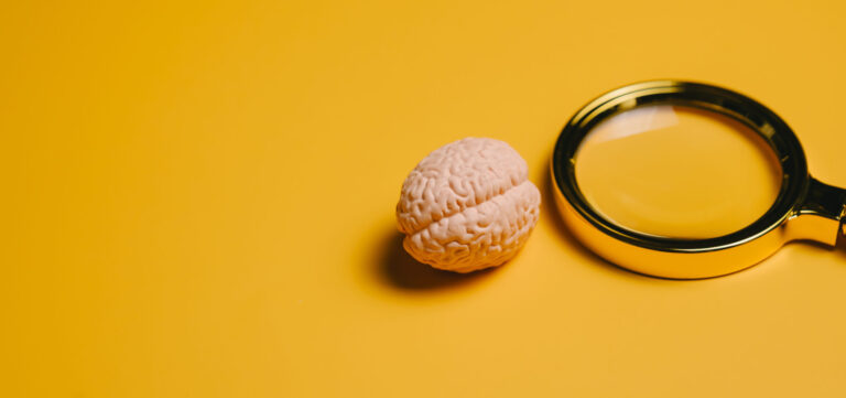 Idea concept. Miniature brain model, magnifying glass, yellow background, close up, concept of intelligence and research